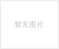 摩托车电池