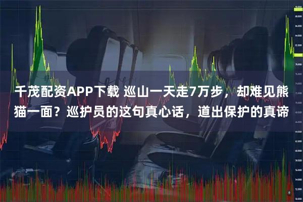 千茂配资APP下载 巡山一天走7万步，却难见熊猫一面？巡护员的这句真心话，道出保护的真谛