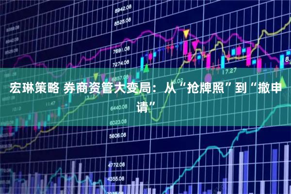宏琳策略 券商资管大变局：从“抢牌照”到“撤申请”
