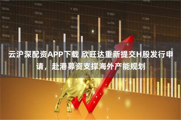 云沪深配资APP下载 欣旺达重新提交H股发行申请，赴港募资支撑海外产能规划