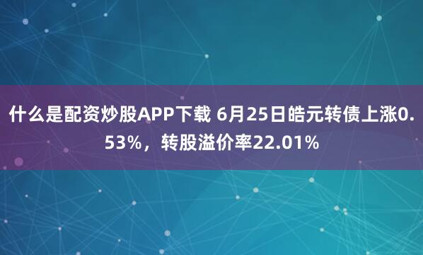 什么是配资炒股APP下载 6月25日皓元转债上涨0.53%，转股溢价率22.01%