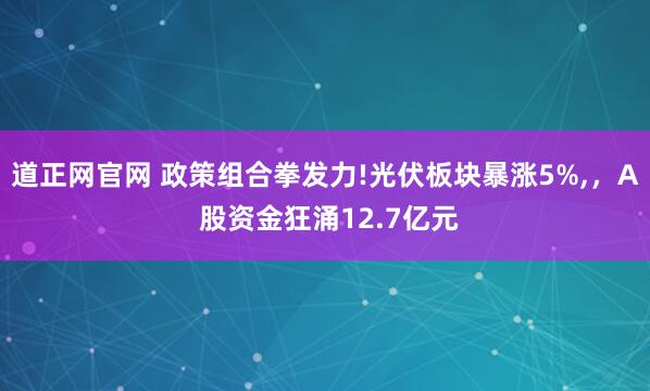 道正网官网 政策组合拳发力!光伏板块暴涨5%,，A 股资金狂涌12.7亿元