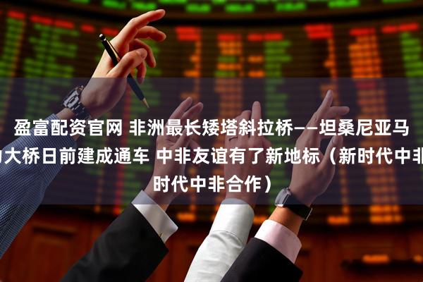 盈富配资官网 非洲最长矮塔斜拉桥——坦桑尼亚马古富力大桥日前建成通车 中非友谊有了新地标（新时代中非合作）