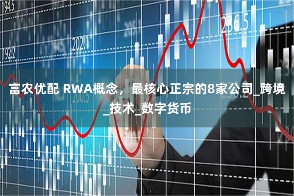 富农优配 RWA概念，最核心正宗的8家公司_跨境_技术_数字货币