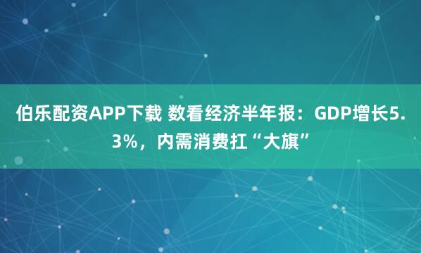 伯乐配资APP下载 数看经济半年报：GDP增长5.3%，内需消费扛“大旗”