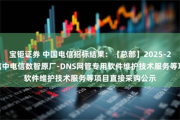 宝钜证券 中国电信招标结果：【总部】2025-2026年度中国电信中电信数智原厂-DNS网管专用软件维护技术服务等项目直接采购公示